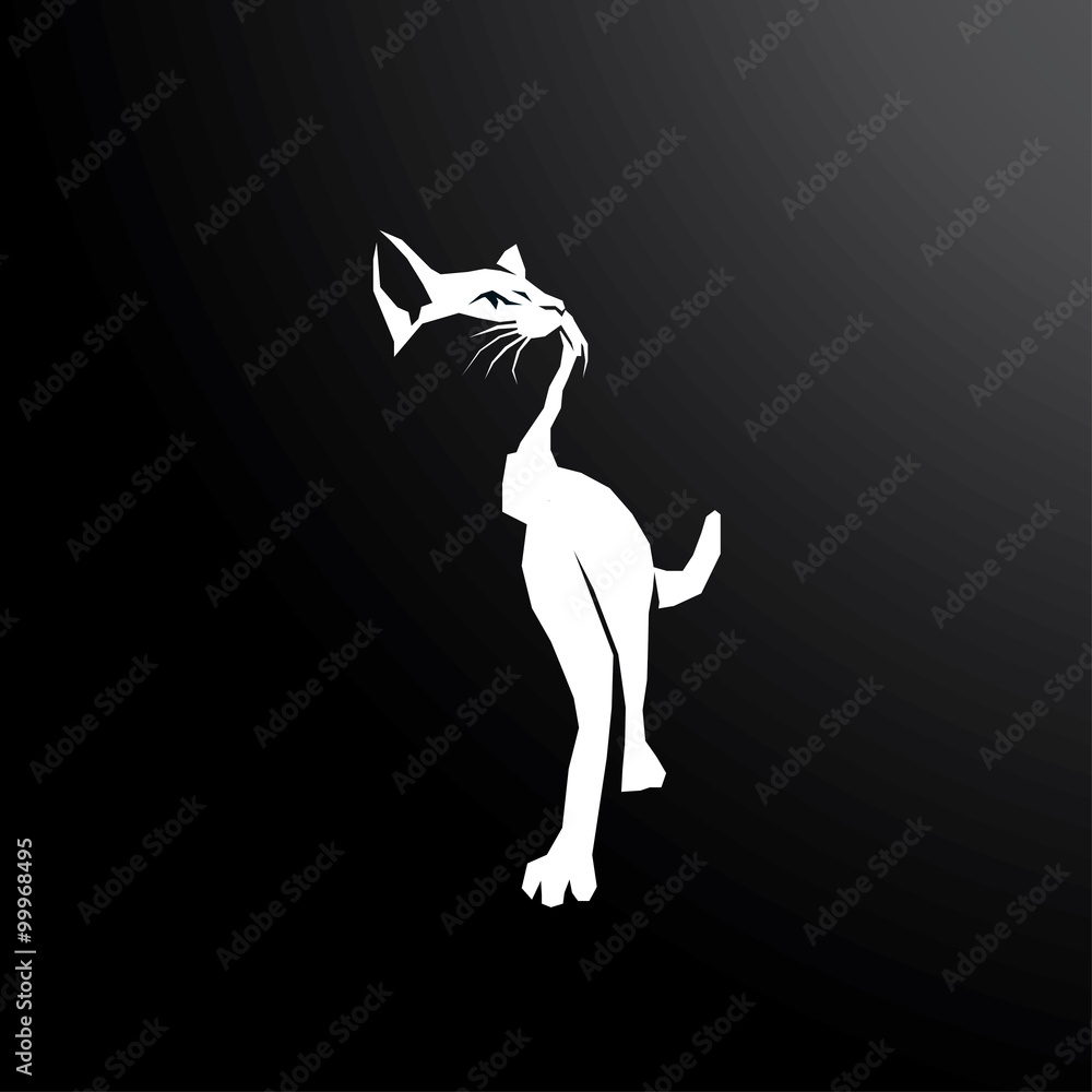 Fototapeta premium Cat in dark