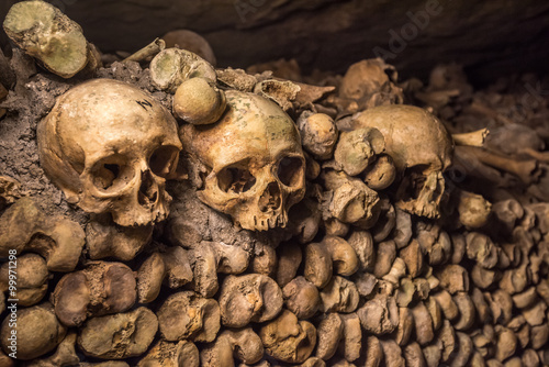 Konstfotografi Skulls and bones in Paris Catacombs