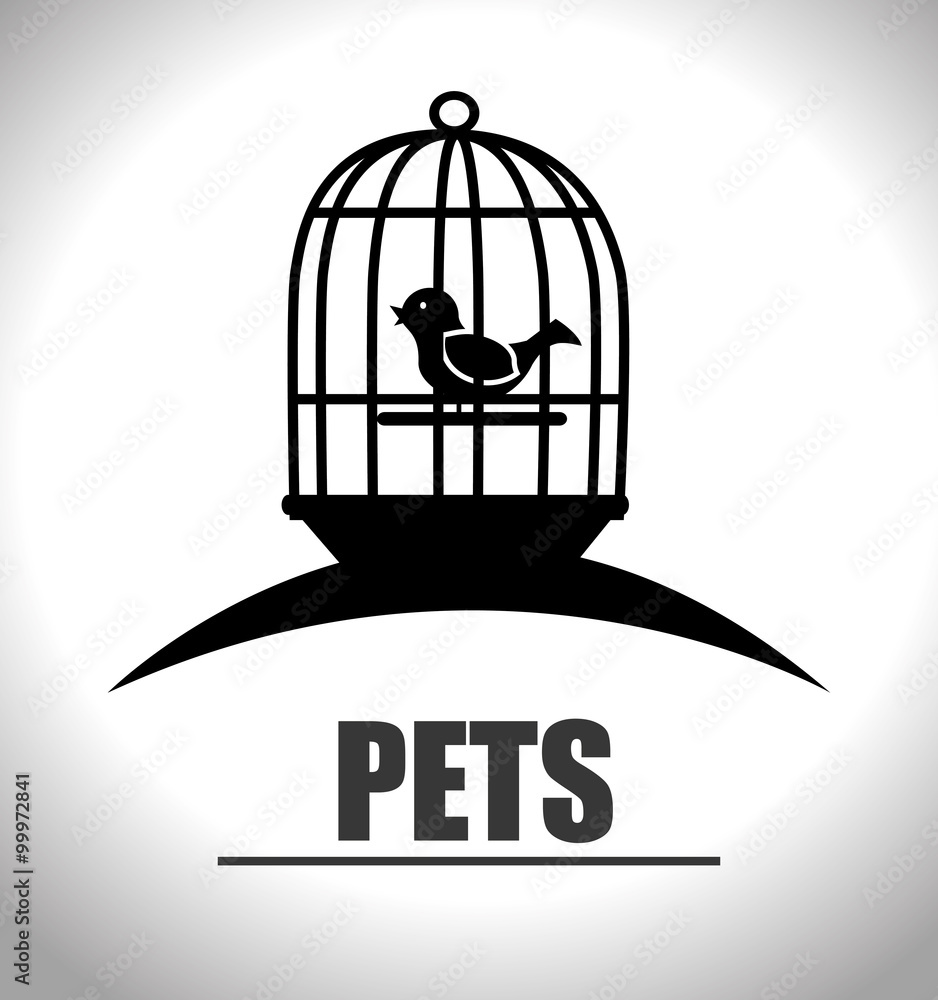 Pets and animals Pets and animals