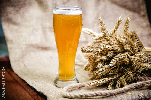 Light wheat beer and a bunch of wheat photo