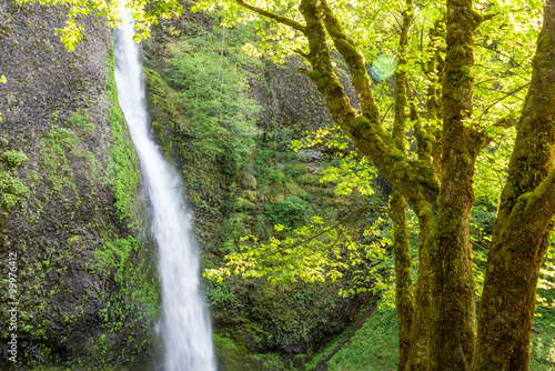 Horsetail Falls View