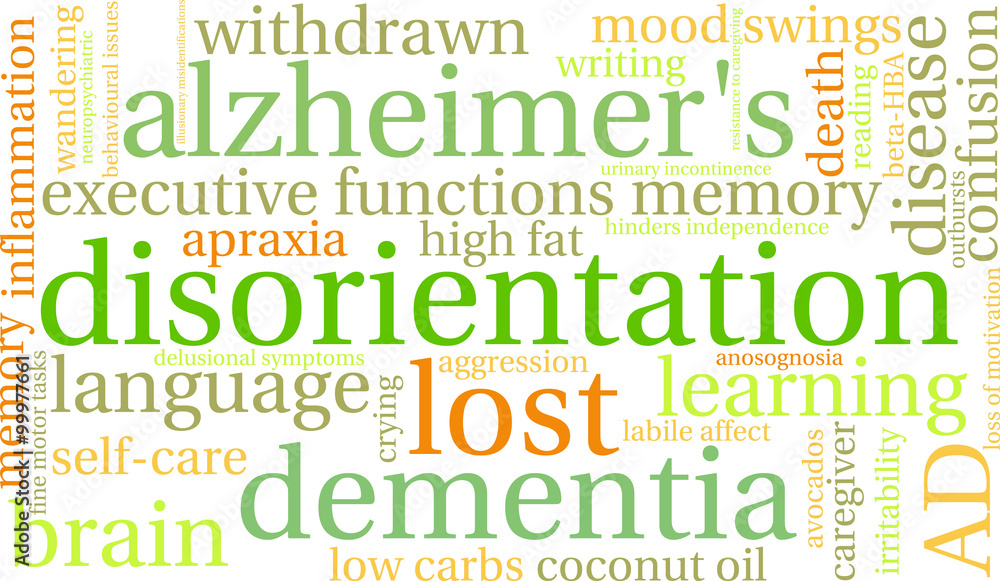 Fototapeta premium Disorientation Word Cloud