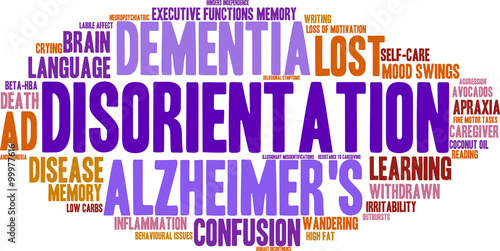 Disorientation Word Cloud