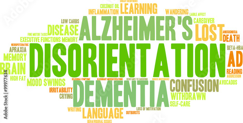 Disorientation Word Cloud