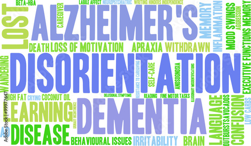 Disorientation Word Cloud