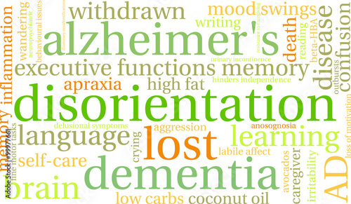 Disorientation Word Cloud