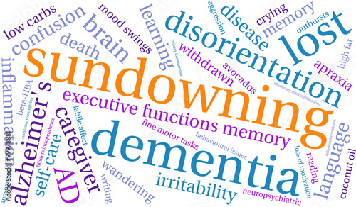 Sundowning Word Cloud