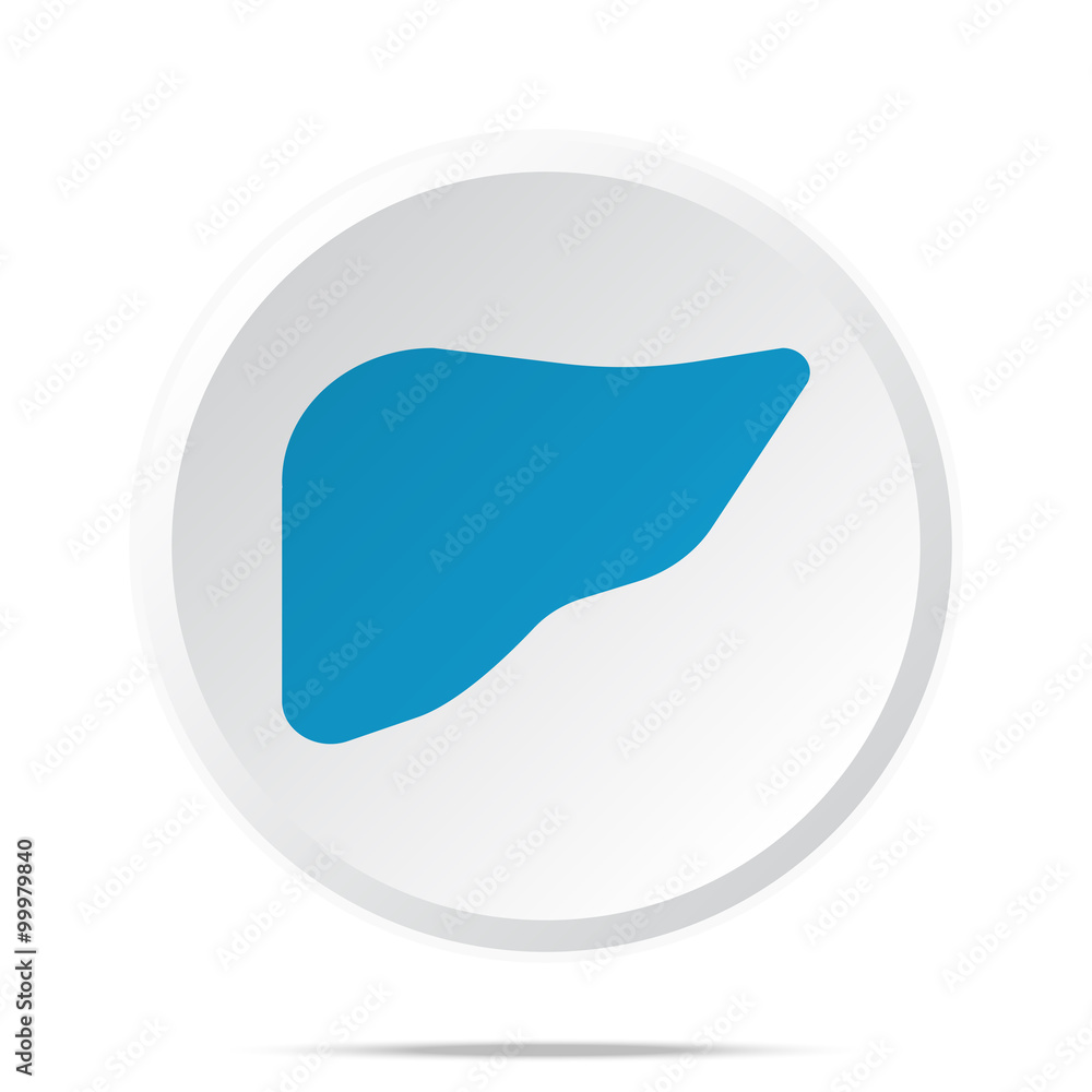 Flat blue Liver icon on circle web button on white Flat blue Liver icon on circle web button on white