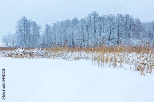 Landscape of frozen lake covered by snow