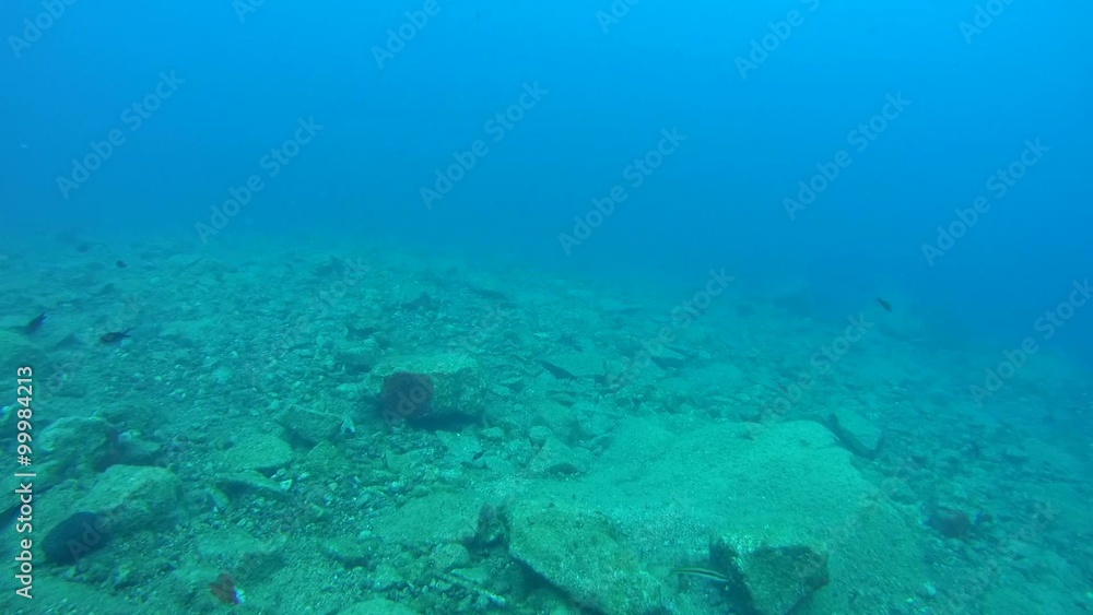 Swim over the rocky bottom, Aegean Sea.
Swim over the rocky bottom, Aegean Sea.