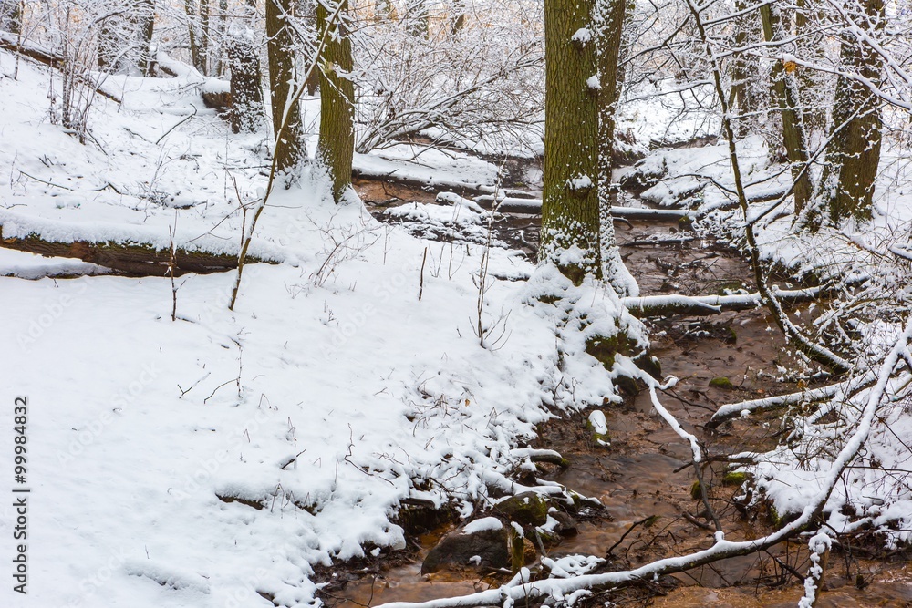 Winter in european forest with small stream Winter in european forest with small stream