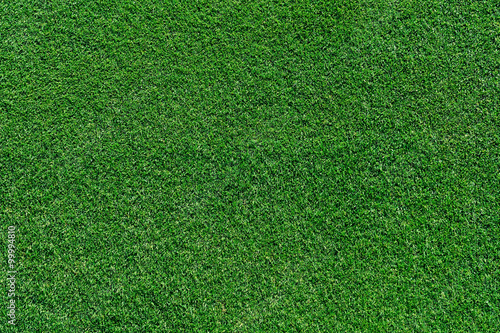 high angle view of green grass background