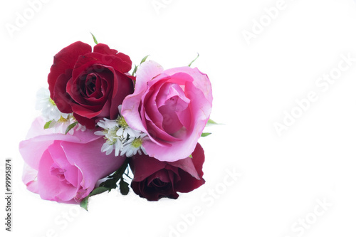 Four red and pink rose / Two pink rose and two red rose in the middle with green leaf on isolated white background