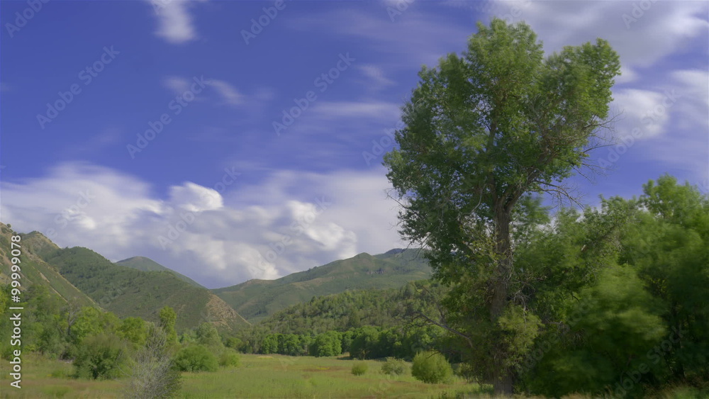 Time lapse cloudscape over a green deciduous Wasatch meadow. Time lapse cloudscape over a green deciduous Wasatch meadow.