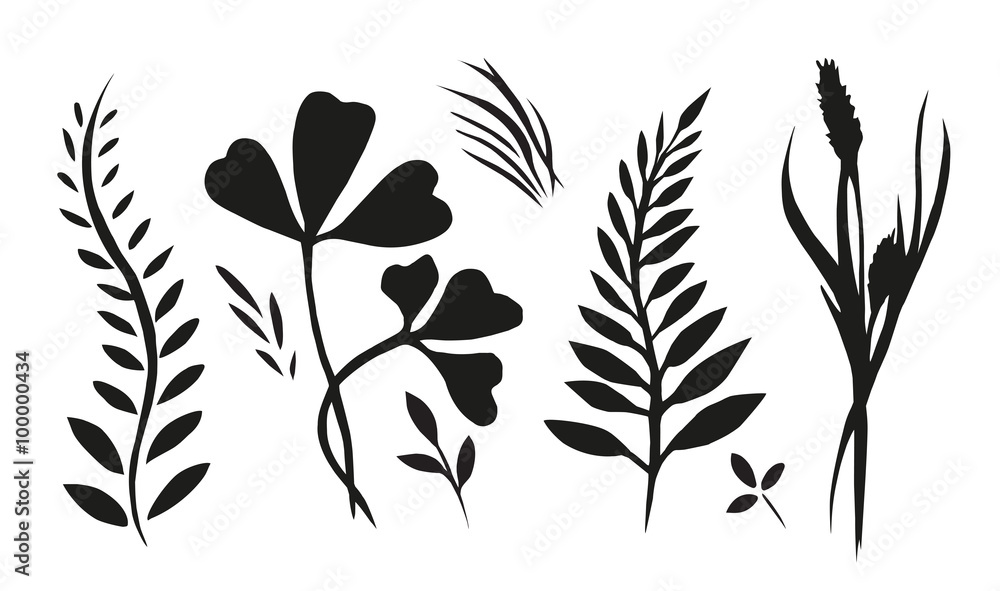 Set with plants, herbs and grasses painted ink Set with plants, herbs and grasses painted ink