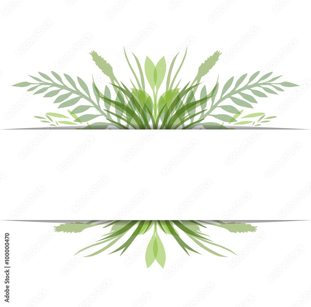 Cover with vector leaves, plants and herbs with space for text