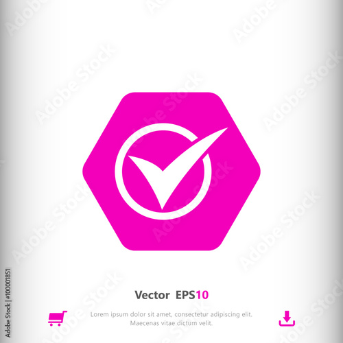 Check, true, right sign ico...