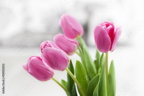 tulip in room