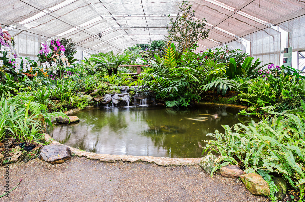 Pond of greenhouse garden with a variety of plants and fish Pond of greenhouse garden with a variety of plants and fish