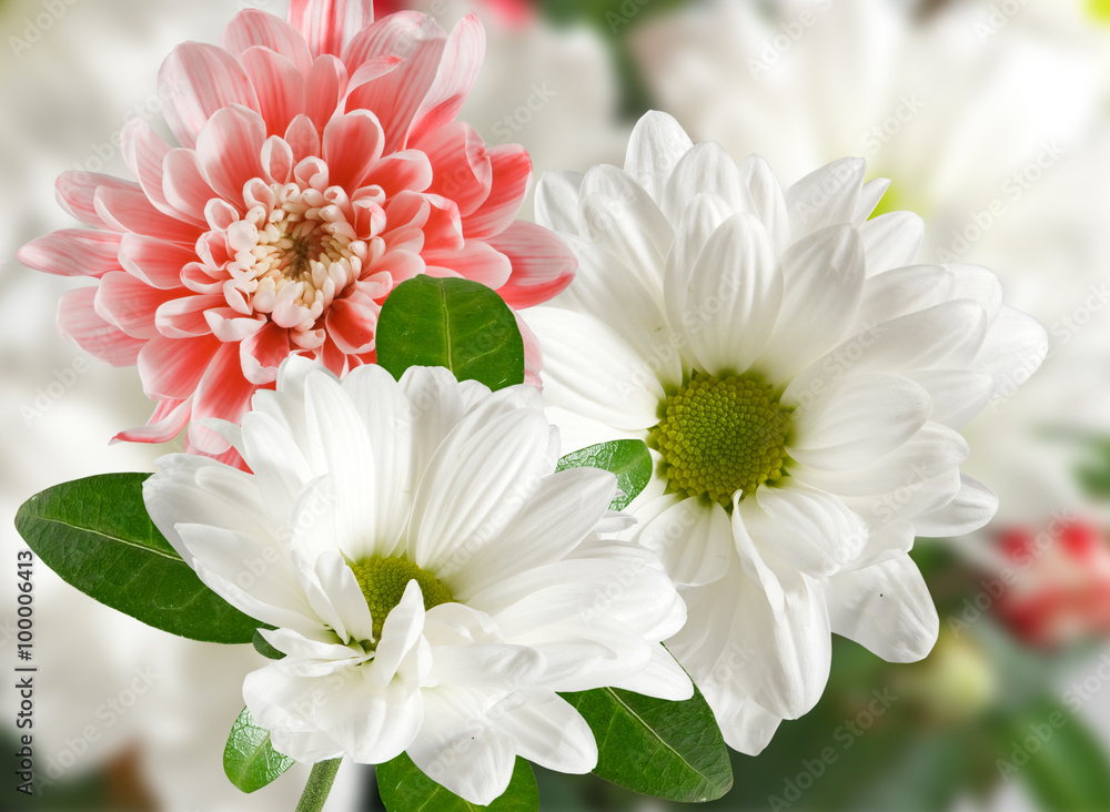 image of many beautiful flowers close up