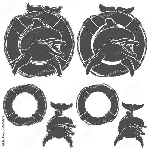 Set of dolphin logo design element. Vector