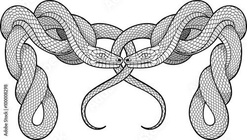 Two twisted snakes. Decorative element.