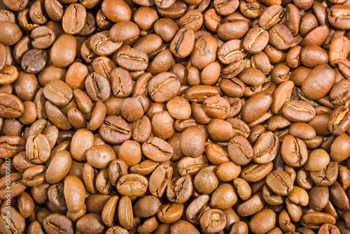 image of coffee beans close-up