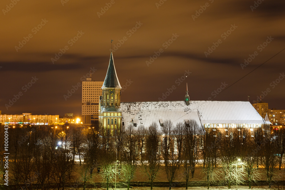 Cathedral in winter