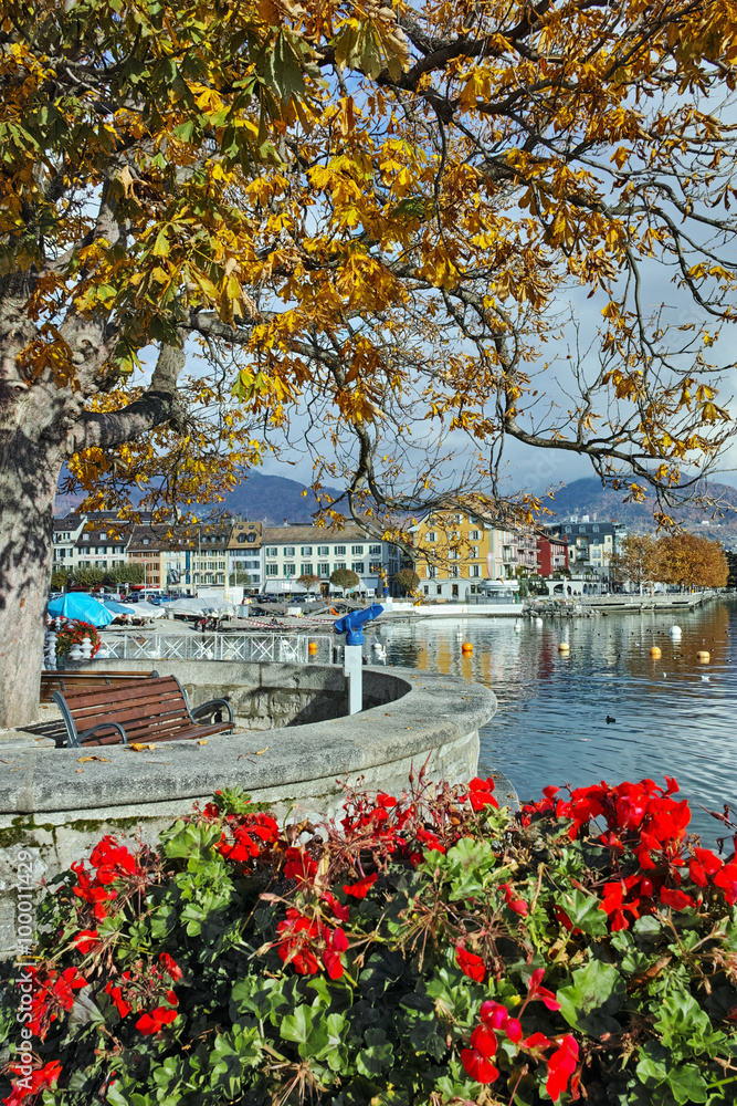 Yellow autumn tree in embankment of town of Vevey and Lake Geneva, canton of Vaud, Switzerland
