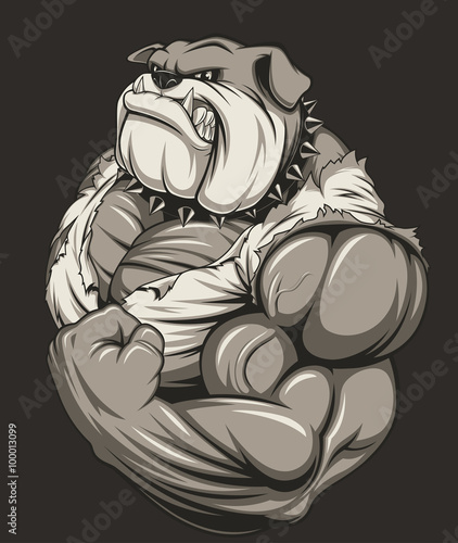 Angry dog bodybuilder