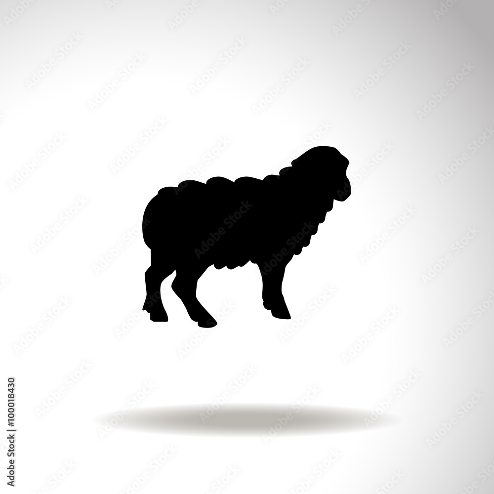 Obraz premium Sheep. Vector illustration