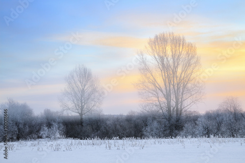 Sunrise in foggy winter forest © smolskyevgeny