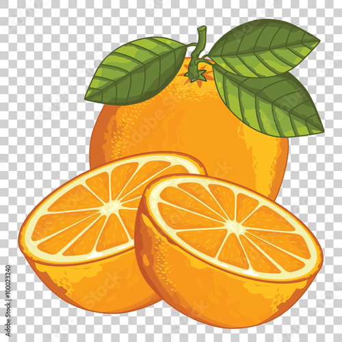 Orange Isolated, Vector.