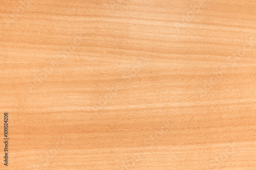 Valokuva European beech wood, background photo texture