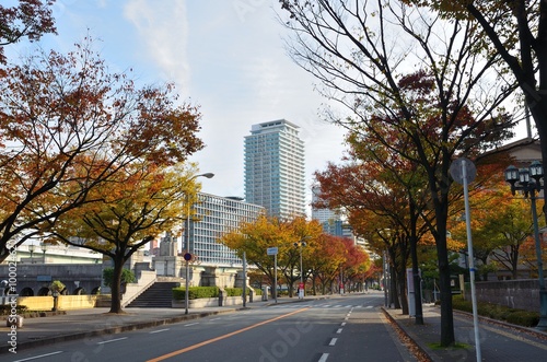 大阪 中之島 市役所沿いの道路
