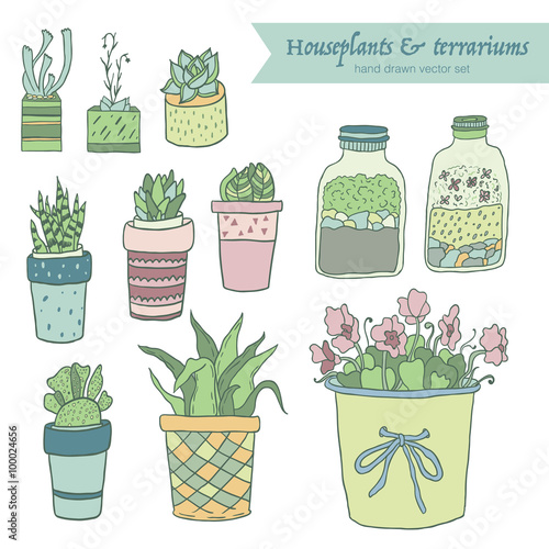 Cute hand drawn terrariums, houseplants and succulents in pots. Vector set