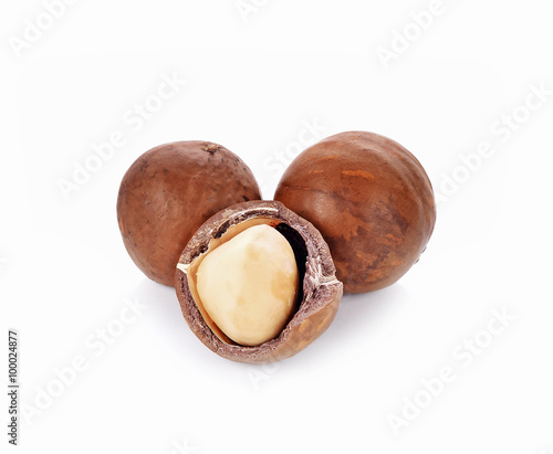 macadamia nuts isolated on whited background