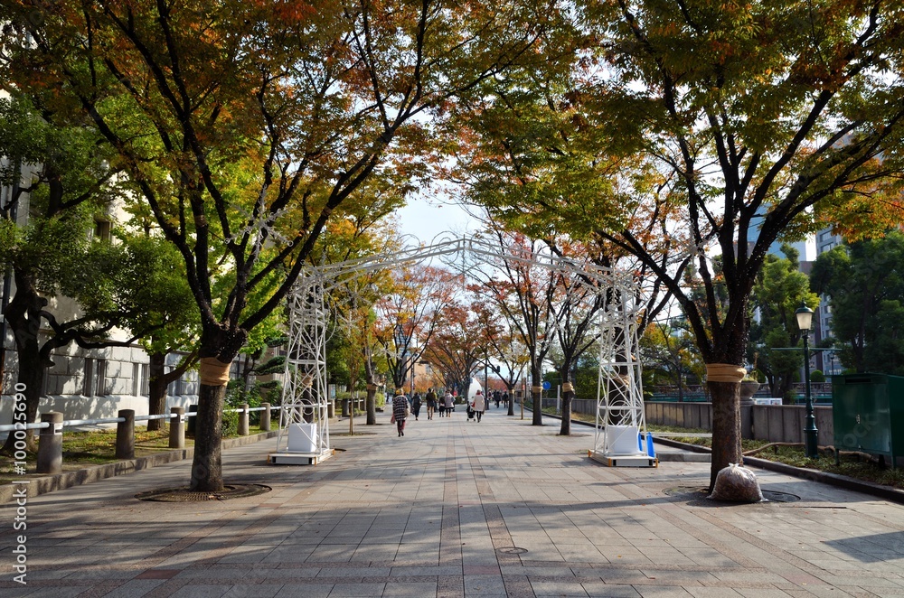大阪 中之島 大阪 中之島