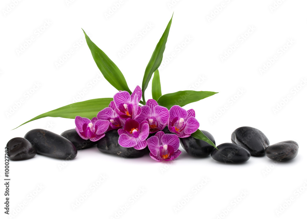 Fototapeta premium Zen pebbles and orchid flower. Stone spa and healthcare concept.