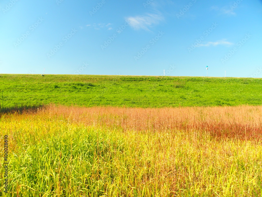 草紅葉と土手風景