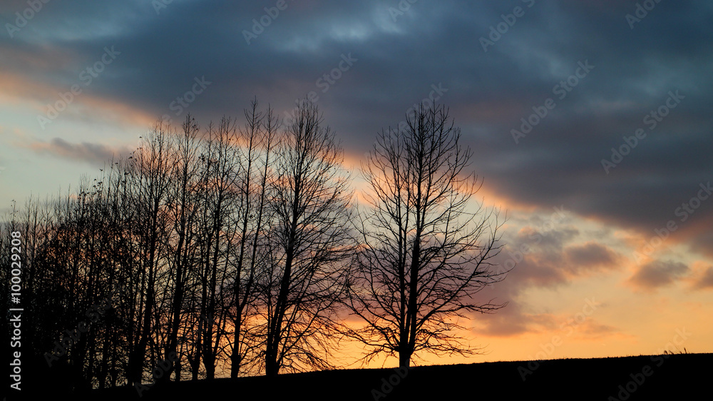 Obraz premium 冬の夕陽