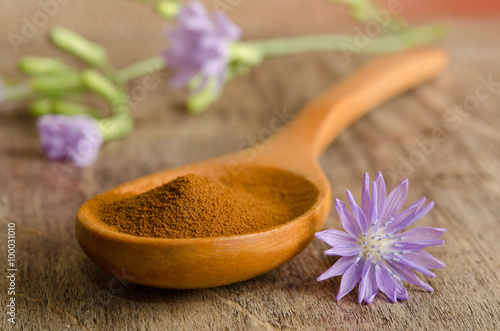 Blue chicory flower and full wooden spoon of powder  instant chi