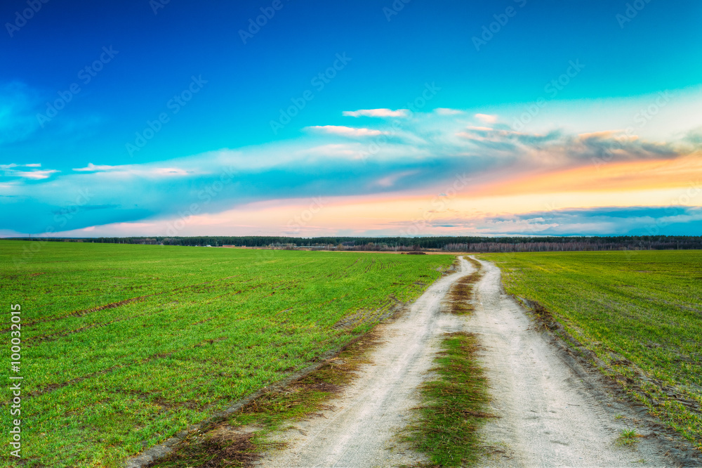Countryside sandy road in green field. Spring season. Meadow and Countryside sandy road in green field. Spring season. Meadow and