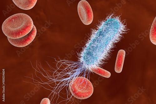 Bacterium Pseudomonas aeruginosa in blood with red blood cells, model of bacteria, realistic illustration of microbes photo