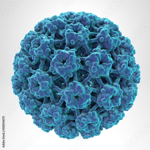 Human Papillomavirus type 16 isolated on white background (HPV) which causes cancer of cervix of uteri. A model is built using data of viral macromolecular structure from Protein Data Bank (PDB 3J6R) photo