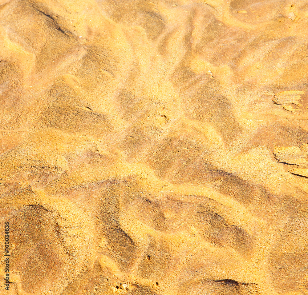 brown dry sand in sahara desert morocco africa erosion and abstr brown dry sand in sahara desert morocco africa erosion and abstr