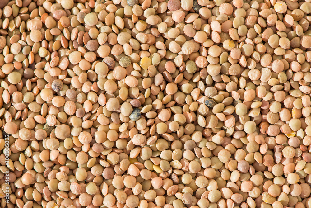 Castelluccio lentils background, traditional italian specialty. Castelluccio lentils background, traditional italian specialty.