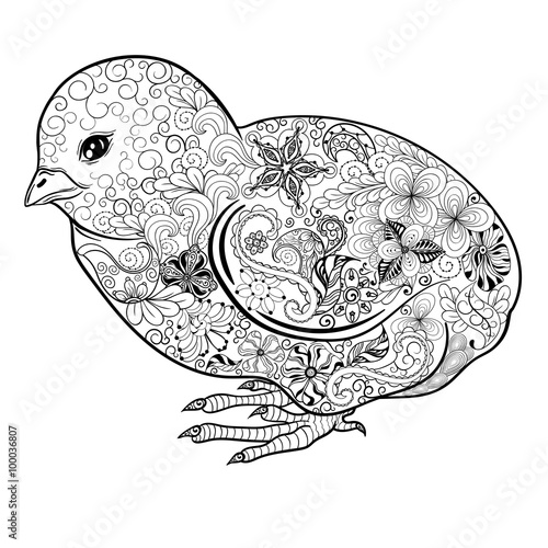 Chick doodle