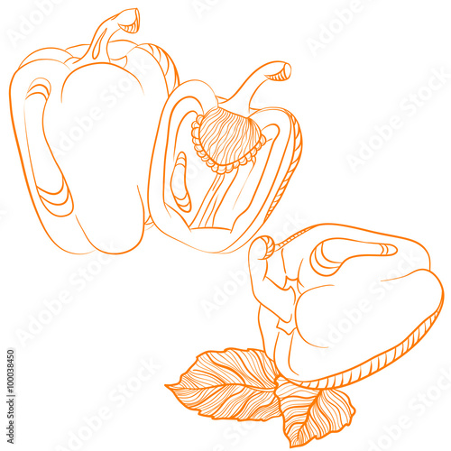 Monochrome drawing of paprika