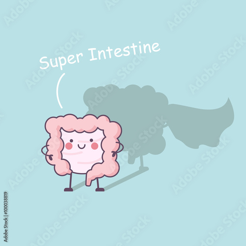 Super health intestine